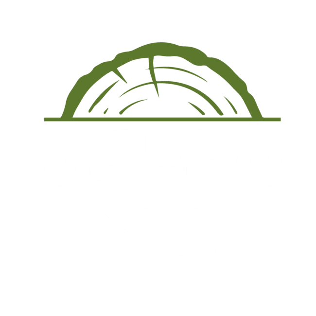 Proyecto logotipo para Green Habita Youtube
